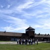 Auschwitz 2019
