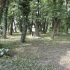 Sprzątanie starego cmentarza w Sokolnikach - 18.06.2018