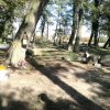 Sprzątanie starego cmentarza w Sokolnikach 13.10.2018