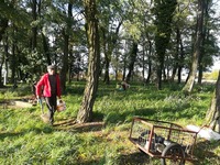Jesienna akcja sprzątania starego cmentarza w Sokolnikach